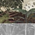 Living Things Wallpaper Collection: MU11022 - MU11024 3D model small image 4