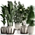 Exotic Plant Collection 425: Frangipani, Plumeria, Dracaena, Bamboo 3D model small image 1