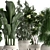 Exotic Plant Collection 425: Frangipani, Plumeria, Dracaena, Bamboo 3D model small image 2