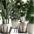 Exotic Plant Collection 425: Frangipani, Plumeria, Dracaena, Bamboo 3D model small image 3