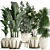 Exotic Plant Collection 425: Frangipani, Plumeria, Dracaena, Bamboo 3D model small image 6