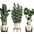 Exotic Plant Collection 425: Frangipani, Plumeria, Dracaena, Bamboo 3D model small image 10