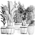 Exotic Plant Collection 425: Frangipani, Plumeria, Dracaena, Bamboo 3D model small image 11