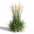 Feathery Beauty: Feather Reed Grass 3D model small image 3