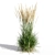 Feathery Beauty: Feather Reed Grass 3D model small image 4