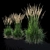 Feathery Beauty: Feather Reed Grass 3D model small image 7