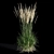 Feathery Beauty: Feather Reed Grass 3D model small image 8