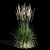 Feathery Beauty: Feather Reed Grass 3D model small image 9