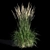 Feathery Beauty: Feather Reed Grass 3D model small image 10