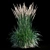 Feathery Beauty: Feather Reed Grass 3D model small image 13