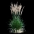 Feathery Beauty: Feather Reed Grass 3D model small image 15
