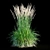 Feathery Beauty: Feather Reed Grass 3D model small image 17
