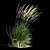 Graceful Feather Reed Grass 3D model small image 6