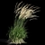 Graceful Feather Reed Grass 3D model small image 7