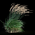 Graceful Feather Reed Grass 3D model small image 13