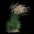 Graceful Feather Reed Grass 3D model small image 14