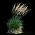 Graceful Feather Reed Grass 3D model small image 15