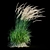 Graceful Feather Reed Grass 3D model small image 19