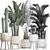 Exotic Plant Collection: Cacti & Palms 3D model small image 4