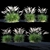 Miscanthus Sinensis: Ornamental Grass 3D model small image 1