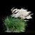 Elegant Wind-Swept Miscanthus 3D model small image 6