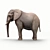 Realistic Elephant Figure 3D model small image 4