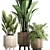 Plant Collection: Exotic Houseplants 3D model small image 2