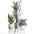 Plant Collection: Exotic Houseplants 3D model small image 5