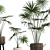 Exotic Houseplants Collection 3D model small image 4