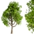 Elegant Japanese Tree Green 3D model small image 1