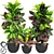 Tropical Croton Variegatum Set 3D model small image 1