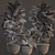 Tropical Croton Variegatum Set 3D model small image 3