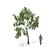 Birch No. 1 3D Tree Model 3D model small image 4