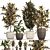 Exotic Collection: Croton Houseplants 3D model small image 1