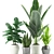 Lush 168: Aloe Vera, Rubber & Ficus Pandurata 3D model small image 4
