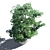 Japanese Maple in Pot - 4 3D model small image 3