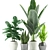 Exotic Plant Collection: Banana, Rubber, Aloe Vera, Palm 3D model small image 6