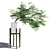 Japanese Maple in Pot 5 3D model small image 1