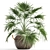 Exotic Palm Livistona: Houseplant Collection 3D model small image 1