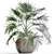 Exotic Palm Livistona: Houseplant Collection 3D model small image 3