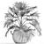 Exotic Palm Livistona: Houseplant Collection 3D model small image 4
