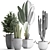 Exotic Plant Collection: Banana Palm, Ravenala, Dracaena, Cereus, Sansevieria 3D model small image 3