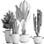 Exotic Plant Collection: Banana Palm, Ravenala, Dracaena, Cereus, Sansevieria 3D model small image 5
