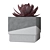 Minimalist Concrete Succulent Planters 3D model small image 6