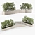 Modern Box Planter for Olea Europaea 3D model small image 2