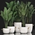 Exotic Houseplant Collection 3D model small image 1