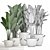 Exotic Houseplant Collection 3D model small image 3