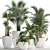 Exotic Houseplant Collection 3D model small image 1