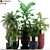 233 Longhi Godwin Plant Collection 3D model small image 1