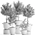 Exotic Houseplant Collection 3D model small image 5